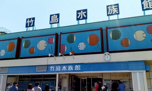 初めての竹島水族館。定休日 料金 クーポン 駐車場 見所など